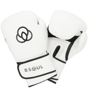 Guante Box BSoul