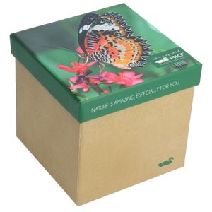 Calcetín Bambú Mujer Pack Gift But